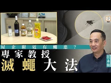 蒼蠅入屋風水|【家裡出現鳥】家裡鳥進來有什麼好兆頭？自來鳥寓意大公開！